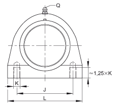 直立式軸承座單元 RSHEY50-TV-VA, 塑料軸承座,內圈帶平頭螺釘的外球面球軸承,耐腐蝕設計,R 型密封 直立式軸承座單元 RSHEY50-TV-VA, 塑料軸承座,內圈帶平頭螺釘的外球面球軸承,耐腐蝕設計,R 型密封