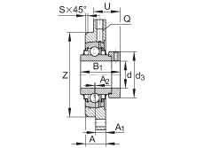 軸承座單元 RMEO100, 帶四個螺栓孔的法蘭的軸承座單元，鑄鐵，定心凸出物，偏心鎖圈，系列 63，R密封